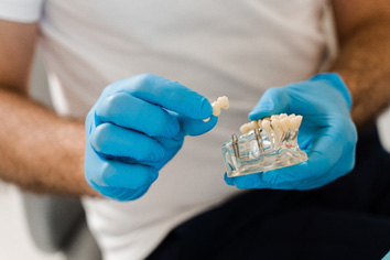 a dentist showing a patient a model of dental implants